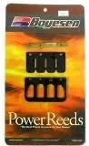Boyesen PWC 532 D Power Reed Kit for Yamaha 540 XLV