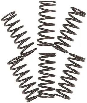 TUSK Competition Clutch Kit with Heavy-Duty Springs 16353900515a49-4f5bff image 3