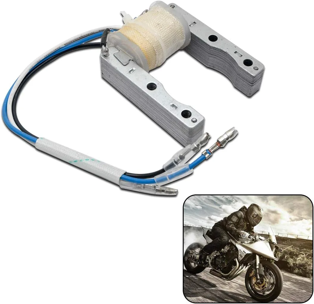 MASO H842856 Ignition Coil CDI Magneto Stator Kit image 2