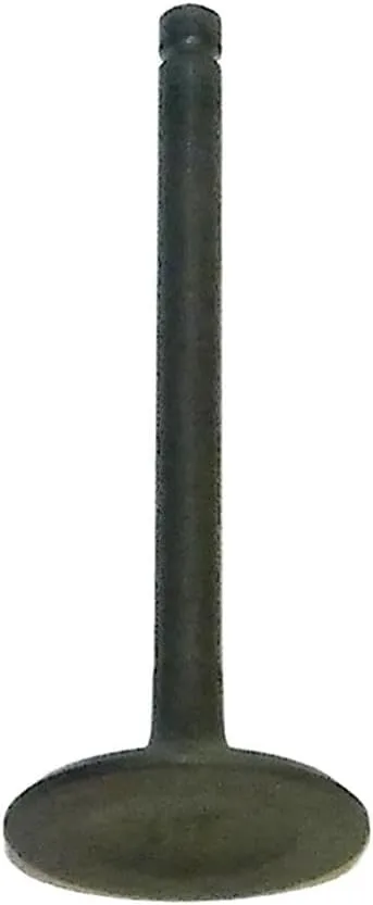 Rareelectrical Intake Valve 017-311-01-Z8 for Yamaha Grizzly 600