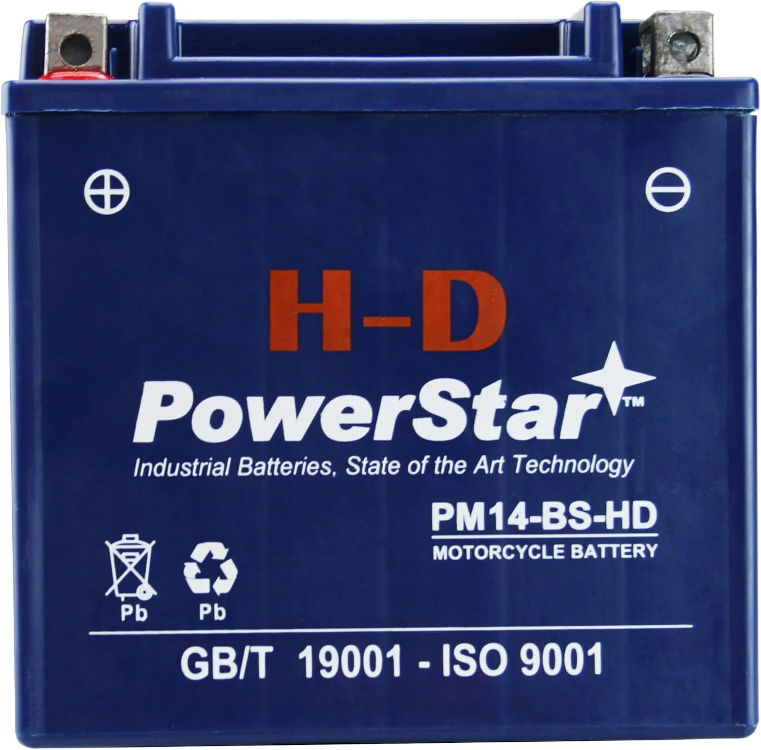 PowerStar YTX14-BS 12V AGM Battery for Honda Pioneer 1000-5 Deluxe
