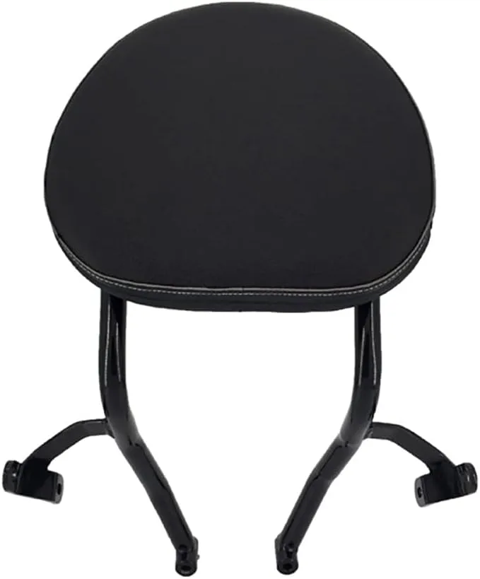 PANICAL DS20200909 Sissy Bar Backrest for BMW K1600B K1600 Bagger 2018-2025 image 2