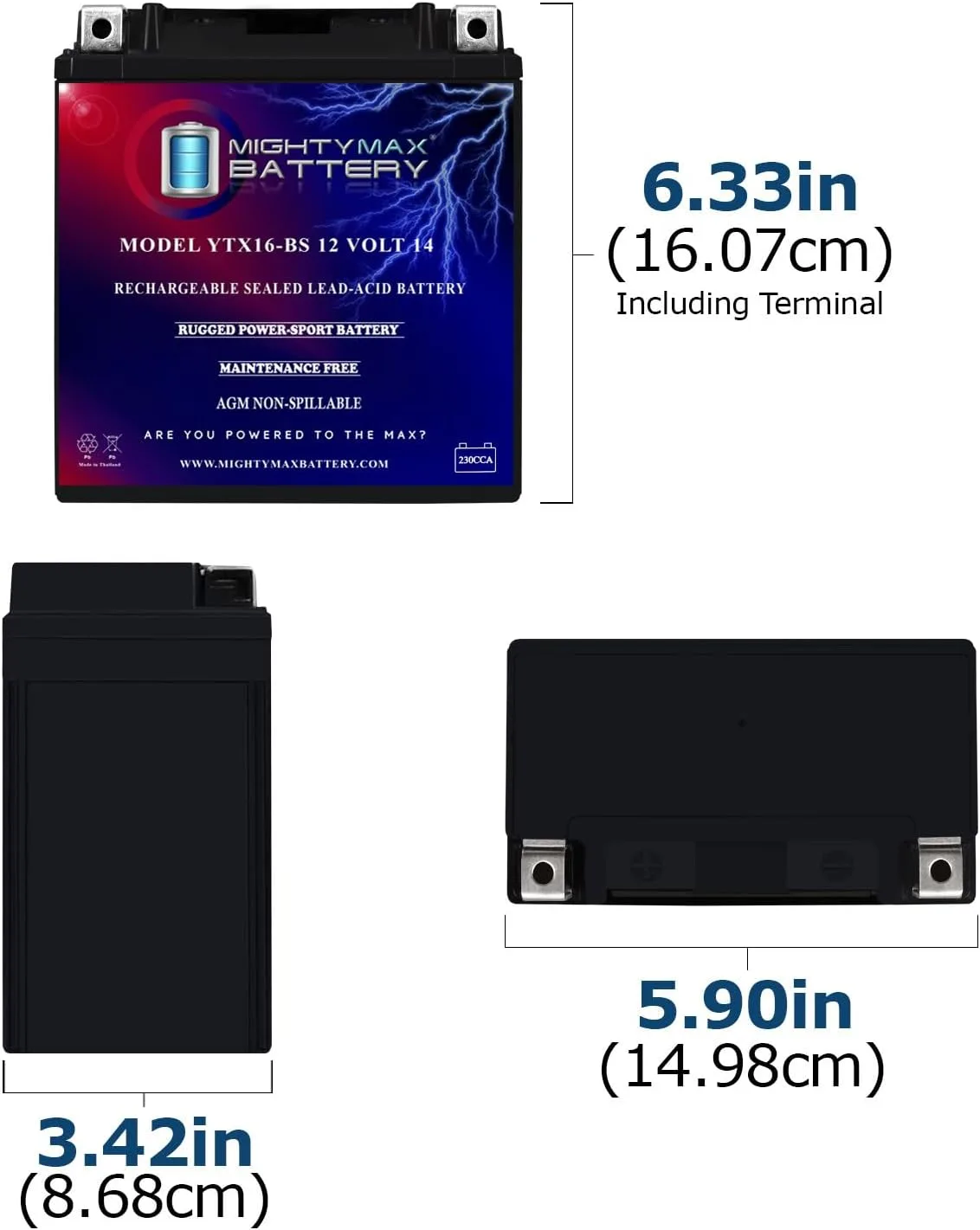 Mighty Max YTX16-BS12V 14Ah Powersports Battery with 4A Charger image 4